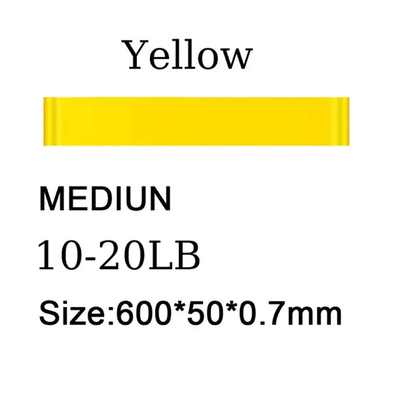 44436661829809